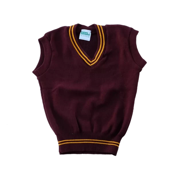 Louw Geldenhuys School Pullover