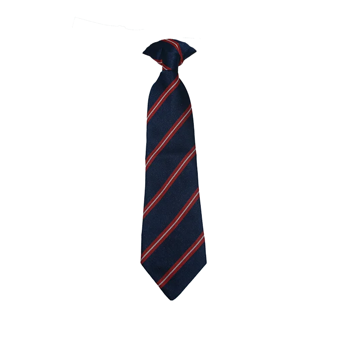 Parkview School Tie